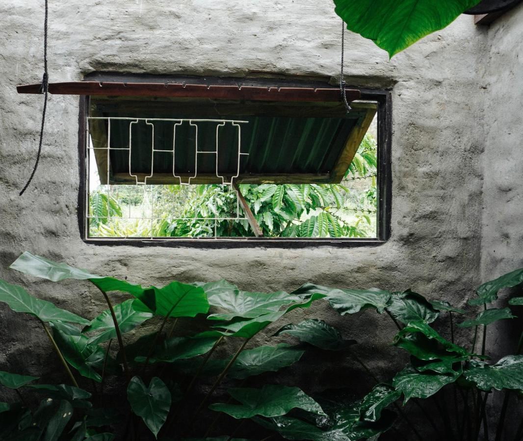 Ivy Coffee Farm - Garden House Lägenhet Duc Trong Exteriör bild