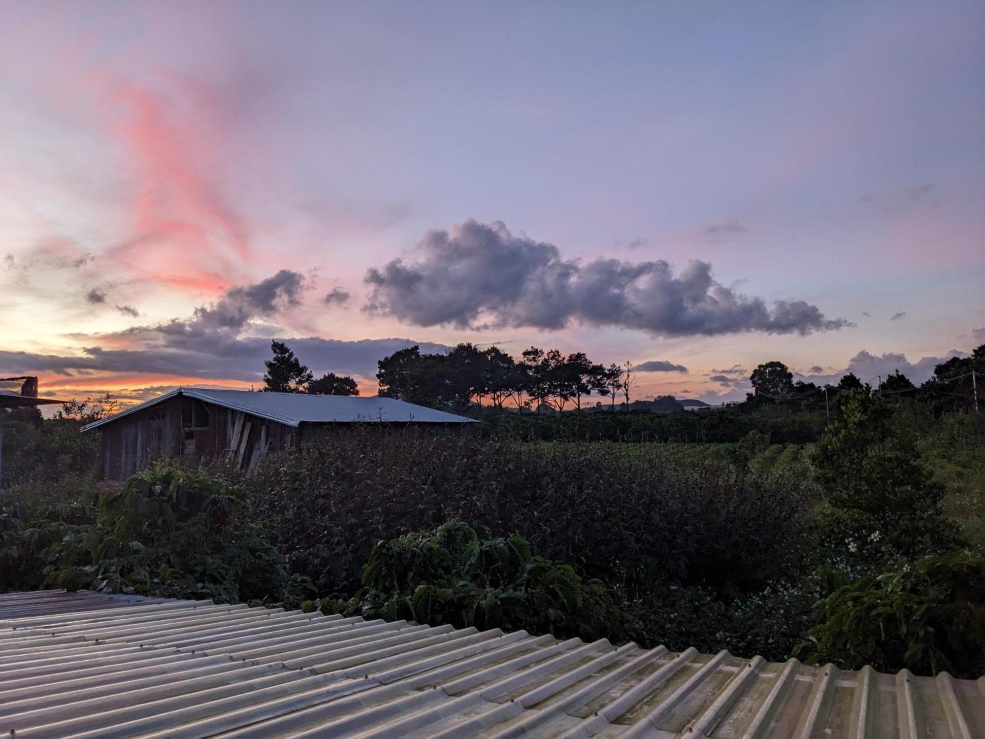 Ivy Coffee Farm - Garden House Lägenhet Duc Trong Rum bild