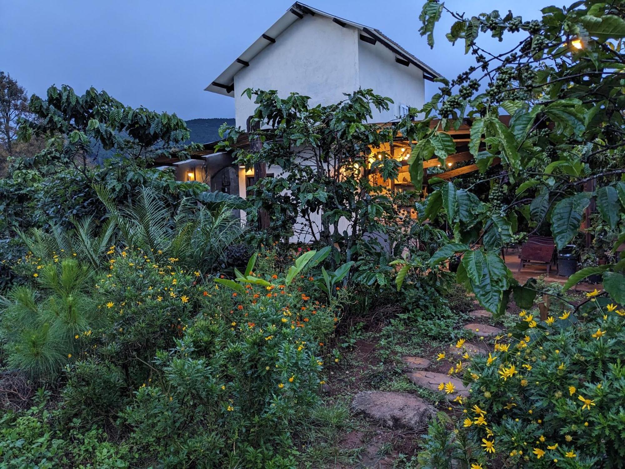 Ivy Coffee Farm - Garden House Lägenhet Duc Trong Exteriör bild