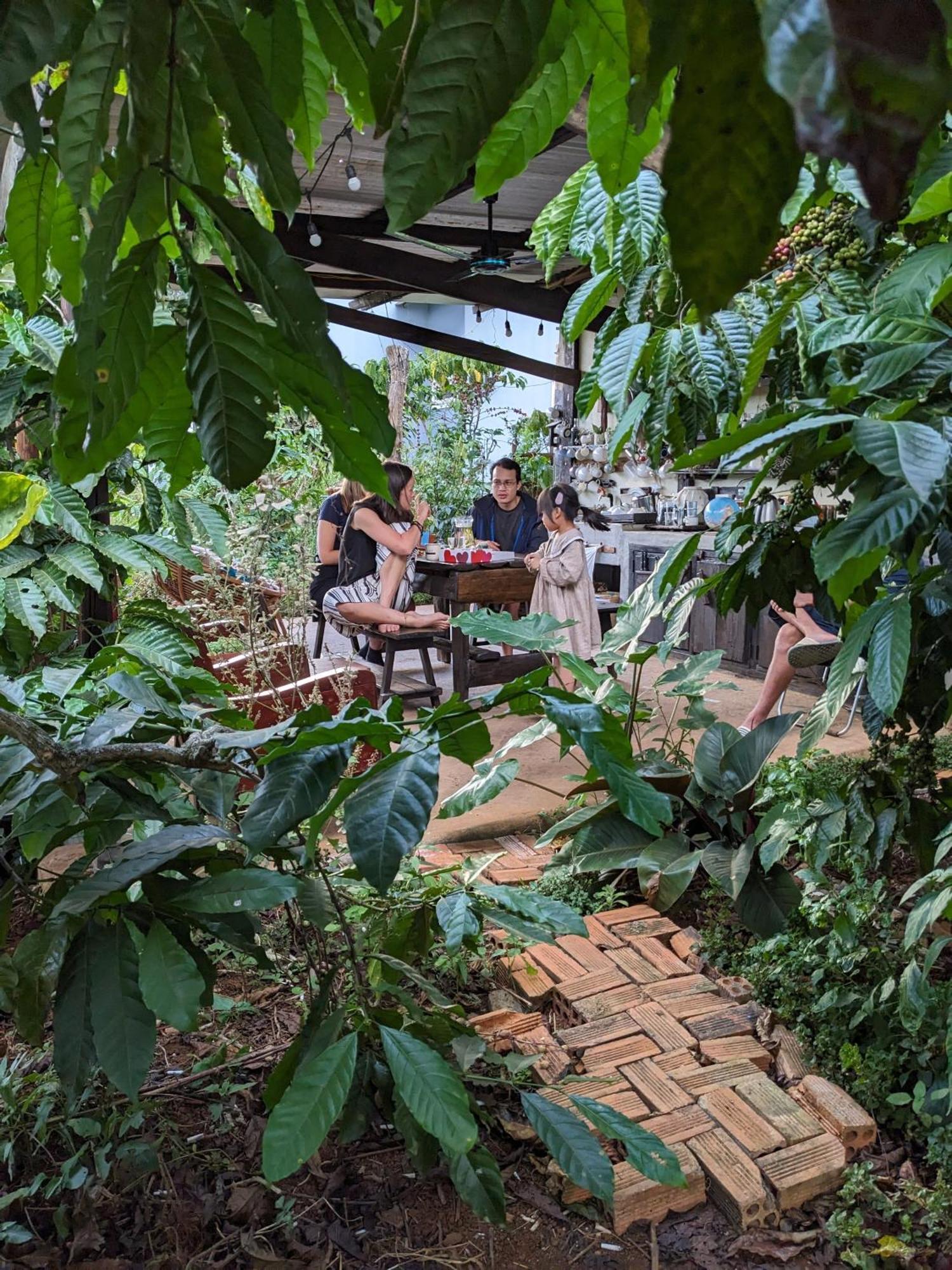 Ivy Coffee Farm - Garden House Lägenhet Duc Trong Exteriör bild