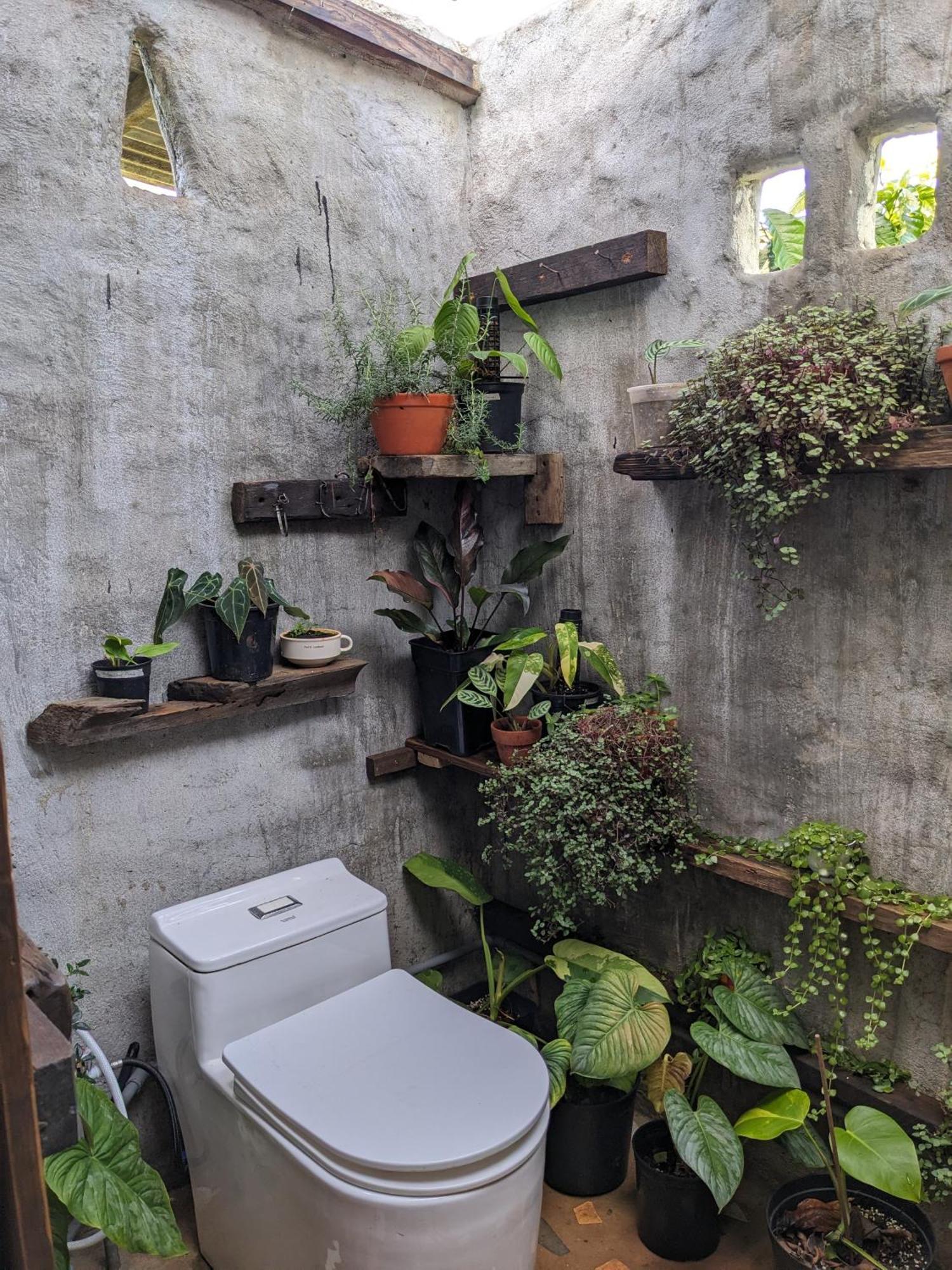 Ivy Coffee Farm - Garden House Lägenhet Duc Trong Exteriör bild