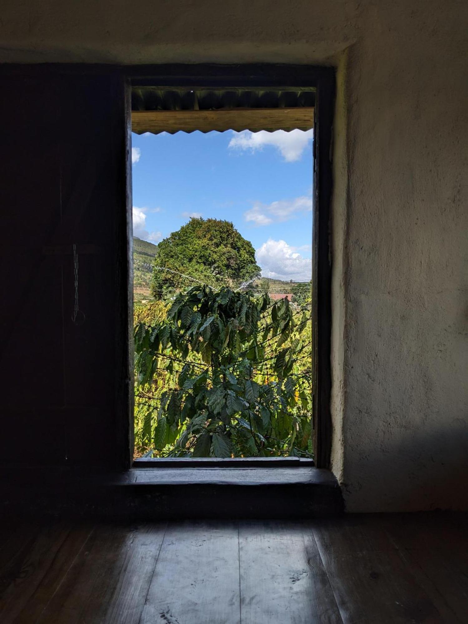 Ivy Coffee Farm - Garden House Lägenhet Duc Trong Exteriör bild